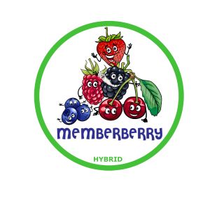 MemberBerry